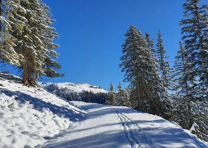 Gasthuis Anja's Schoenblick - Gerlos
